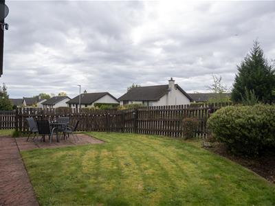 Picture 24